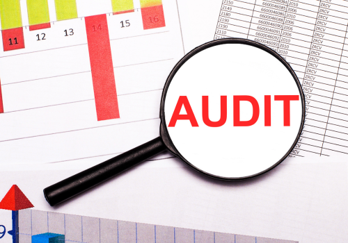Internal Audit and Special Audit